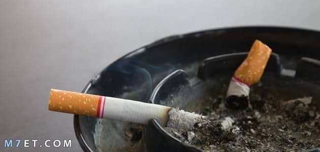 التدخين عدو الصحة اللدود