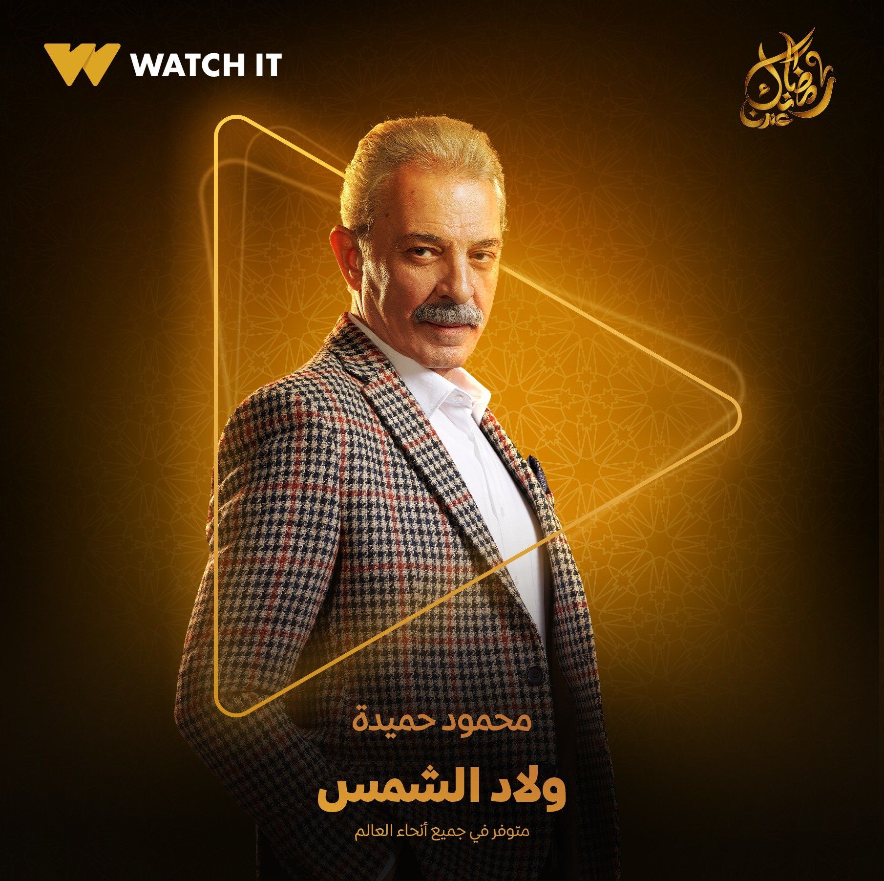 محمود حميدة محمود حميدة