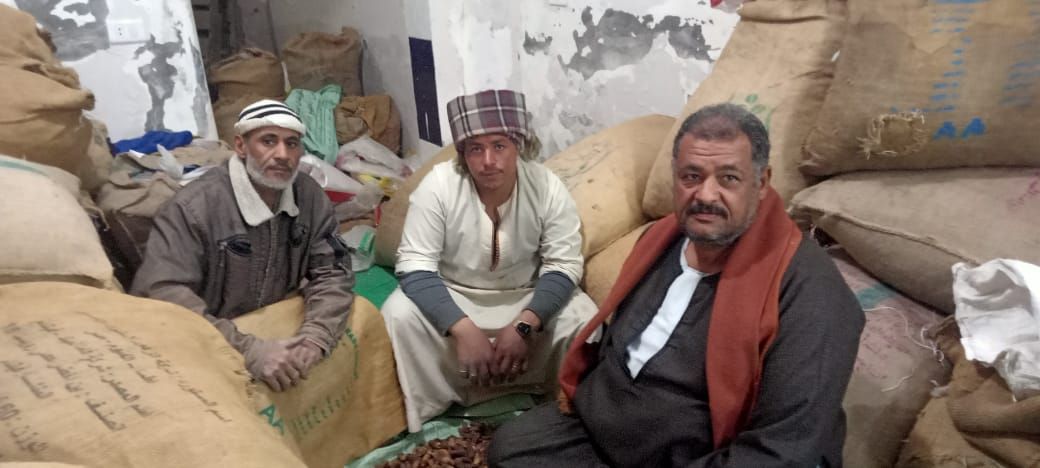 حرص الثعايدة على جلب العديد من أنواع التمور لبيعها بكفر الشيخ