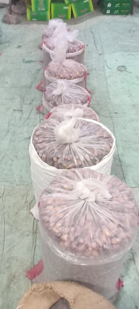 جانب من التمور المعروضة