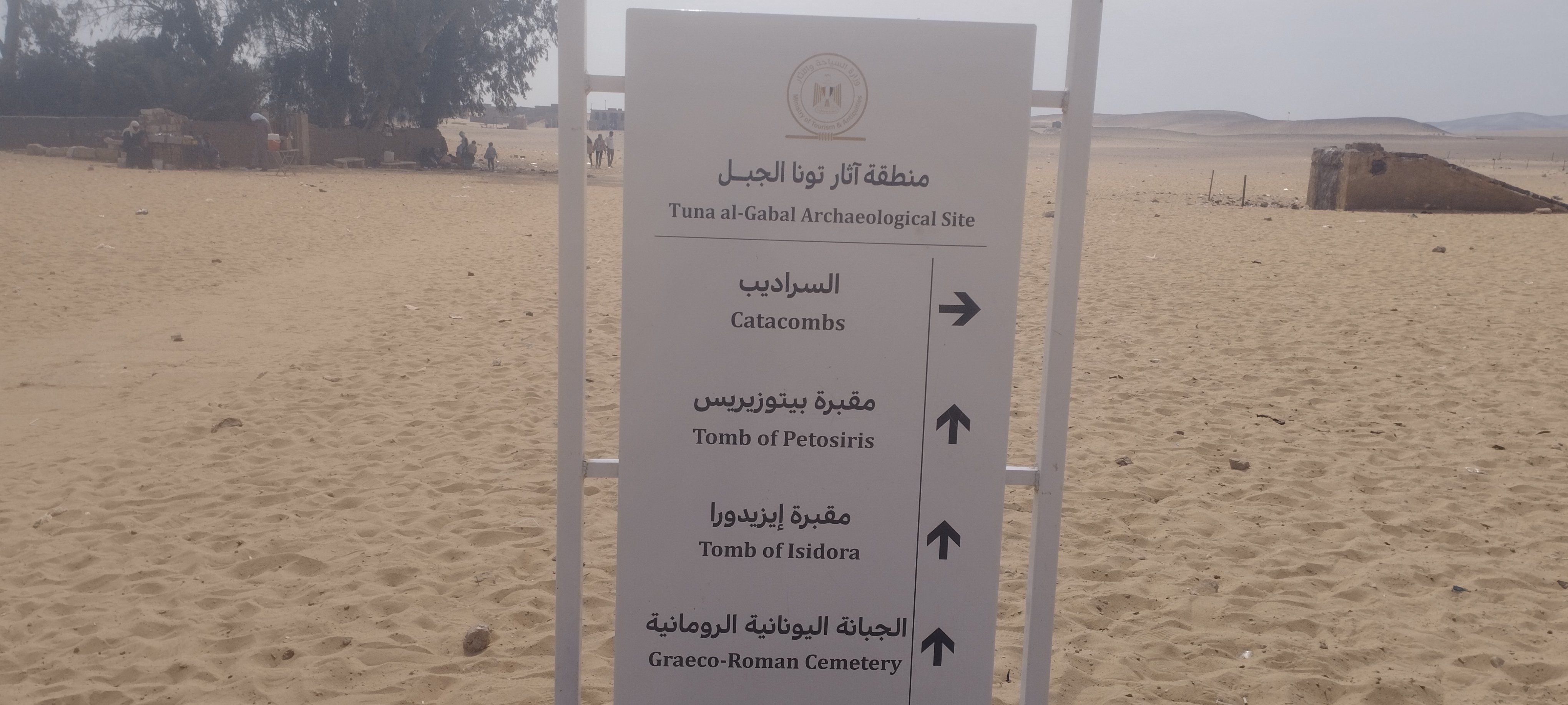 تونة الجبل تونة الجبل