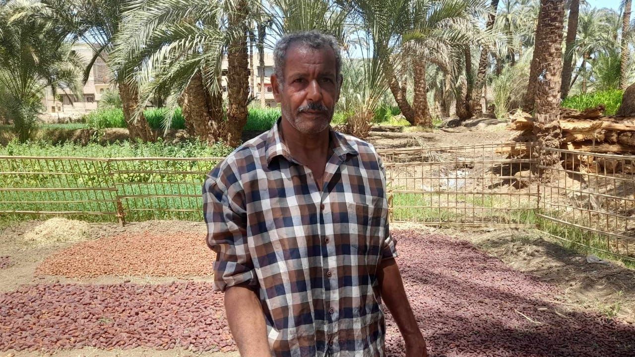 العم صابر أحمد تجار البلح العم صابر أحمد تجار البلح