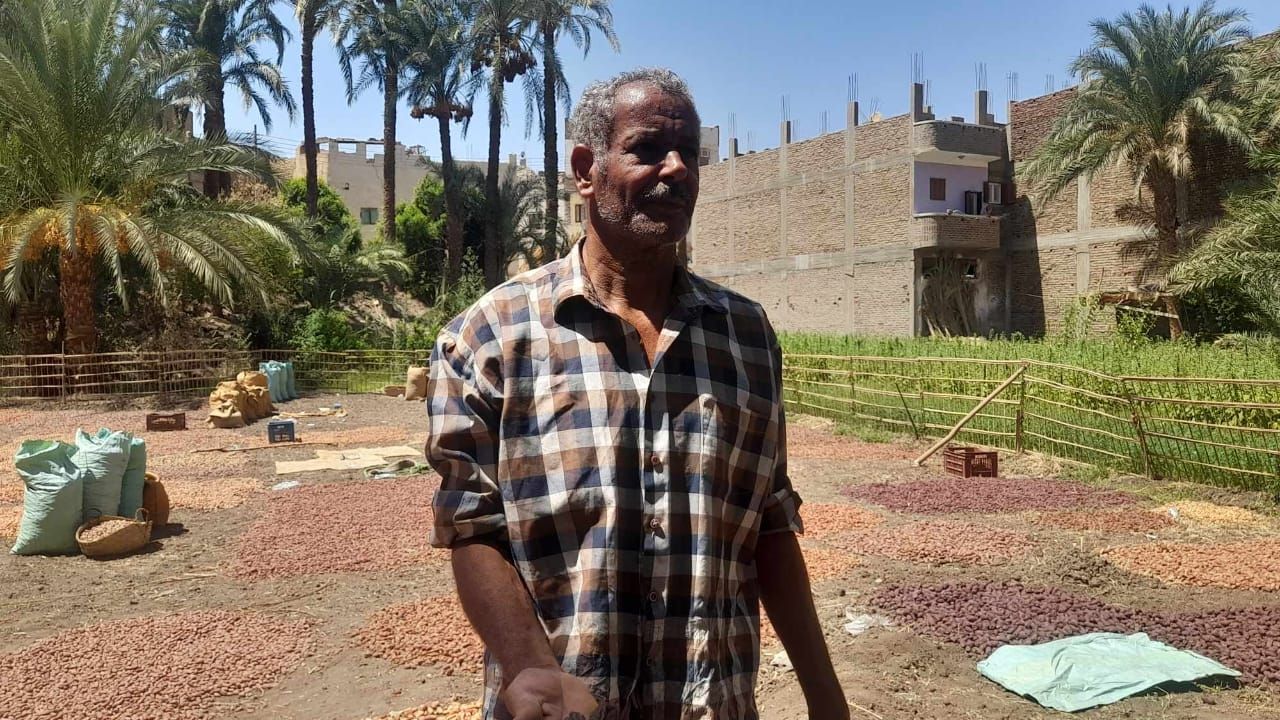 صابر عبد المقصود صابر عبد المقصود