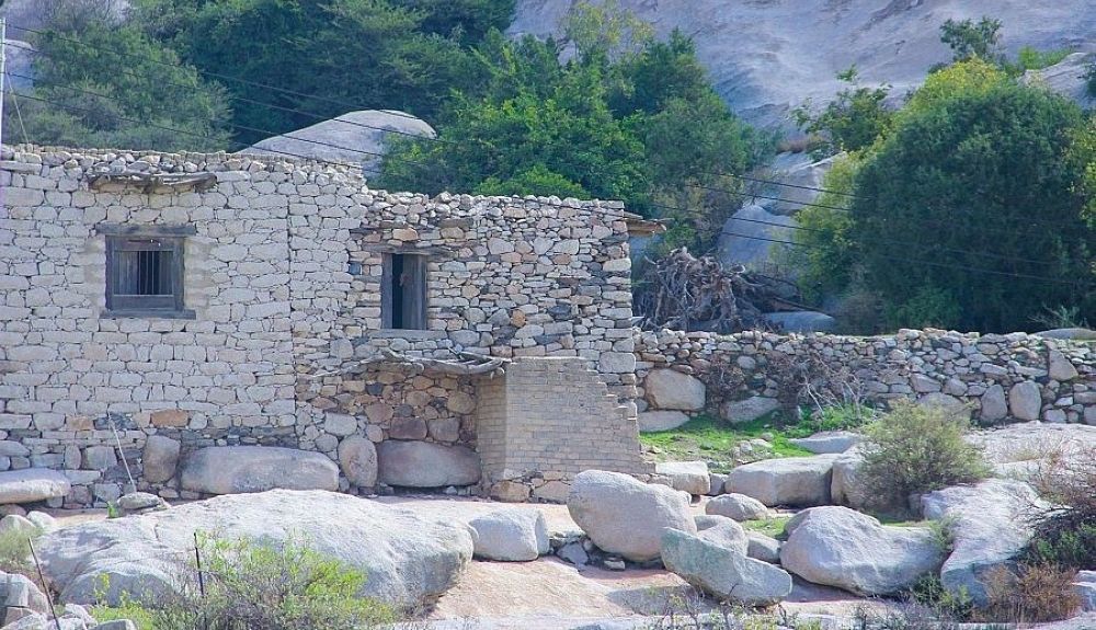 العونة.. عنوان التكافل السعودي منذ القدم - واس