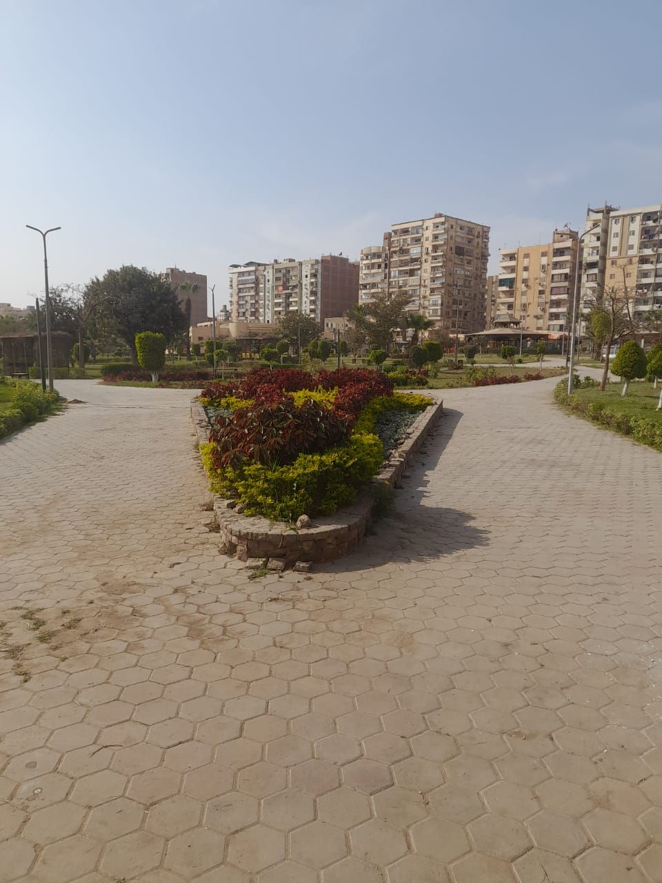نباتات زينة نباتات زينة