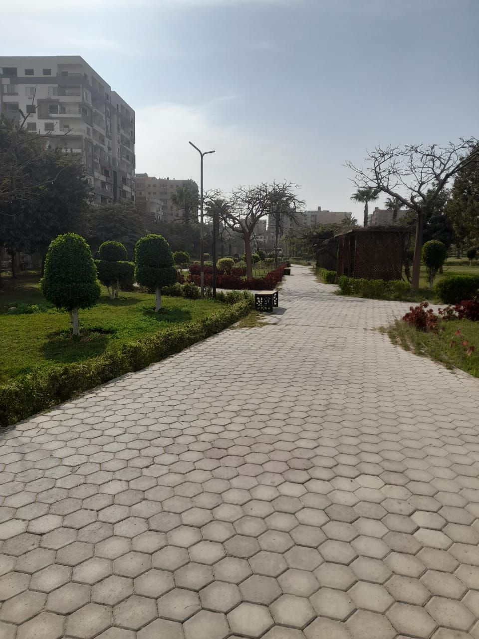مسطحات خضراء مسطحات خضراء