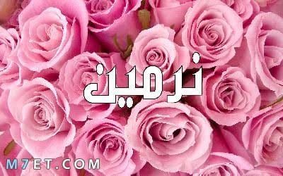 اسم نرمين بالانجليزي