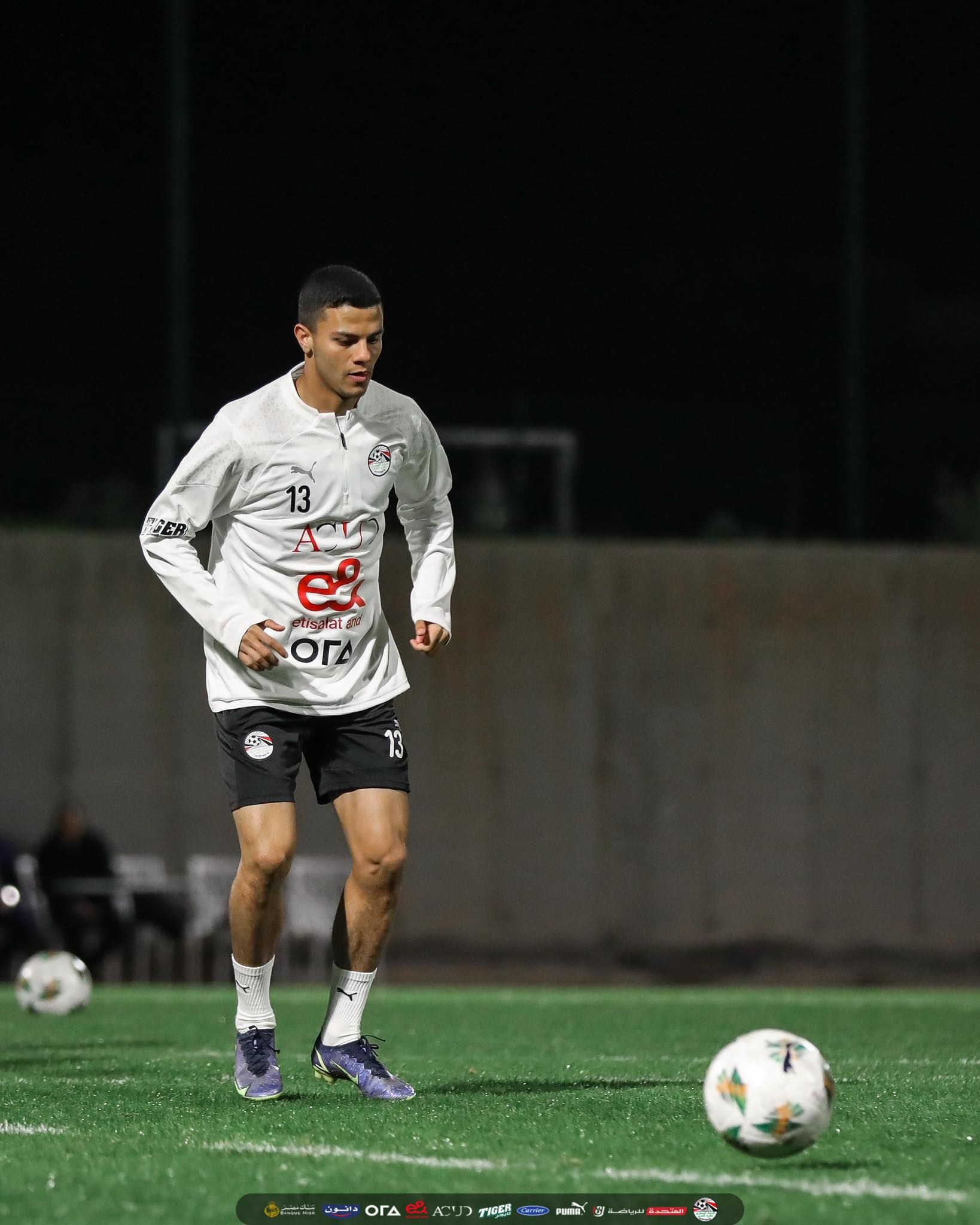 محمد شحاتة محمد شحاتة