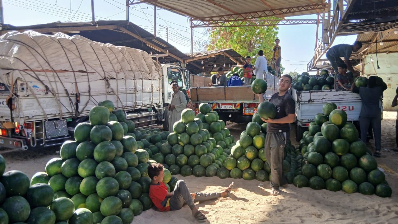 مزاد البطيخ بشادر قنا مزاد البطيخ بشادر قنا