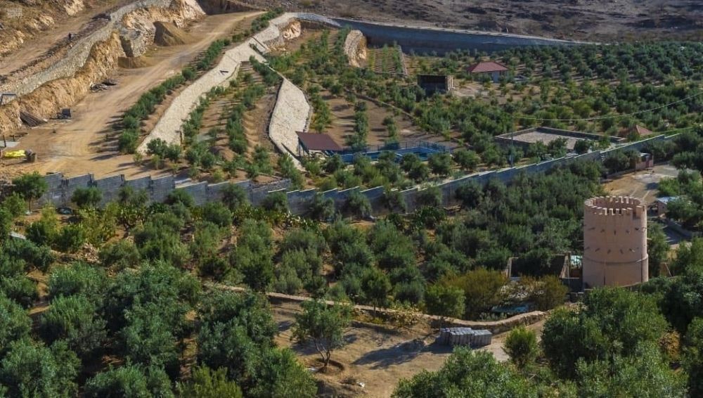 المزارع السياحية بالباحة.. تجربة ساحرة في أحضان الطبيعة