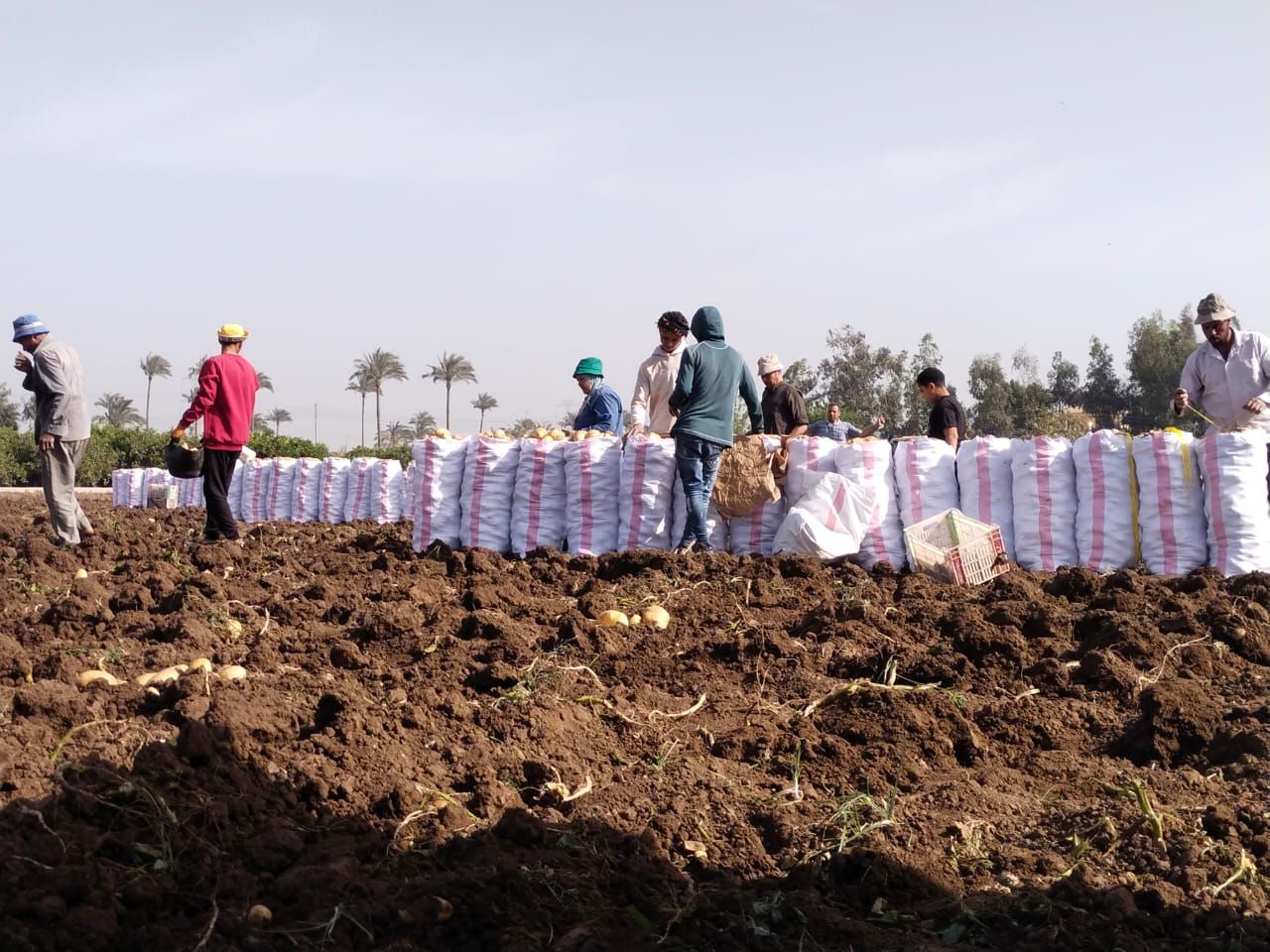 أثناء عملية التعبئة أثناء عملية التعبئة