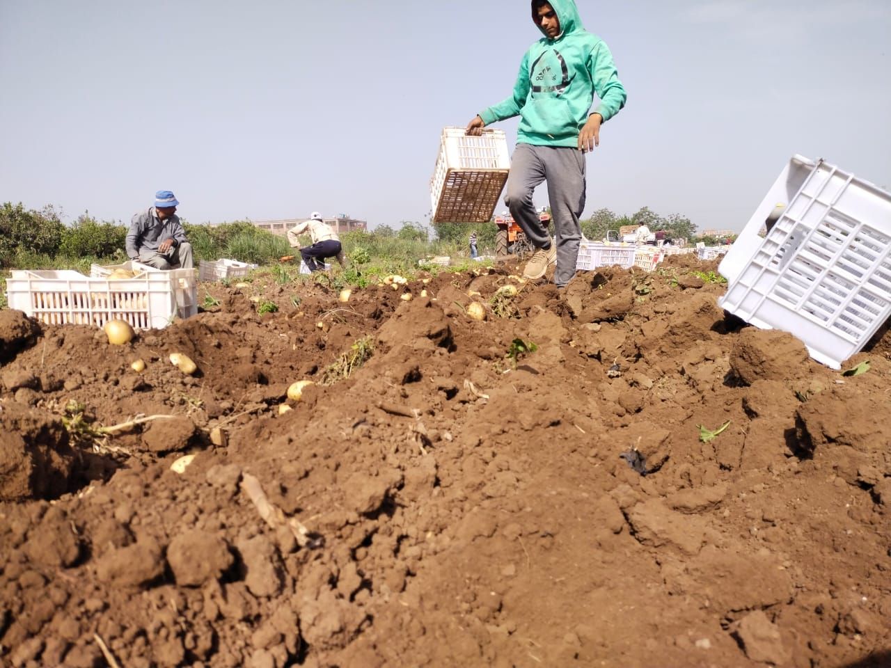 التعبئة التعبئة