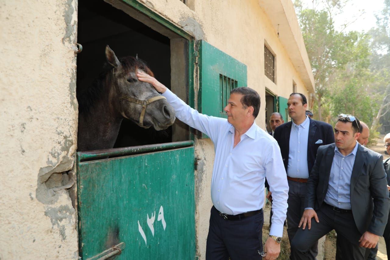 وزير الزراعة ومحافظ القاهرة يتفقدان محطة الزهراء للخيول العربية الأصيلة (3) وزير الزراعة ومحافظ القاهرة يتفقدان محطة الزهراء للخيول العربية الأصيلة (3)