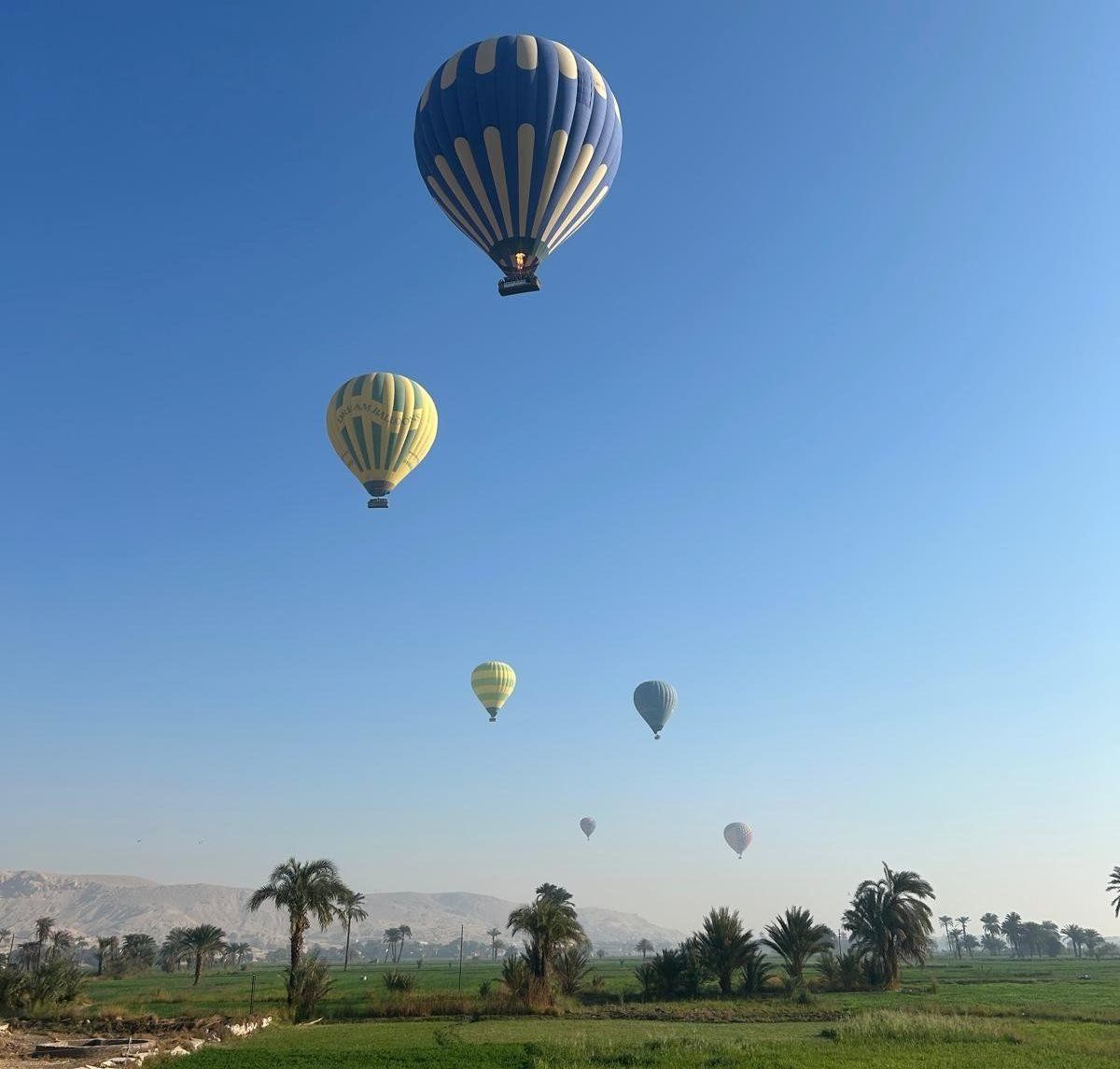 جانب من تغريد رحلات البالون الطائر بسماء الأقصر جانب من تغريد رحلات البالون الطائر بسماء الأقصر