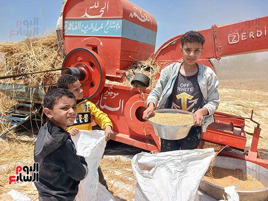 فرحة-الحصاد فرحة-الحصاد