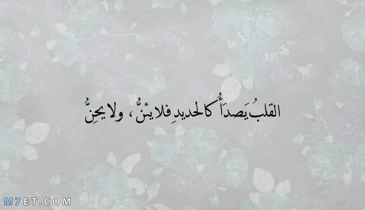 كتابة تعليق على الصور