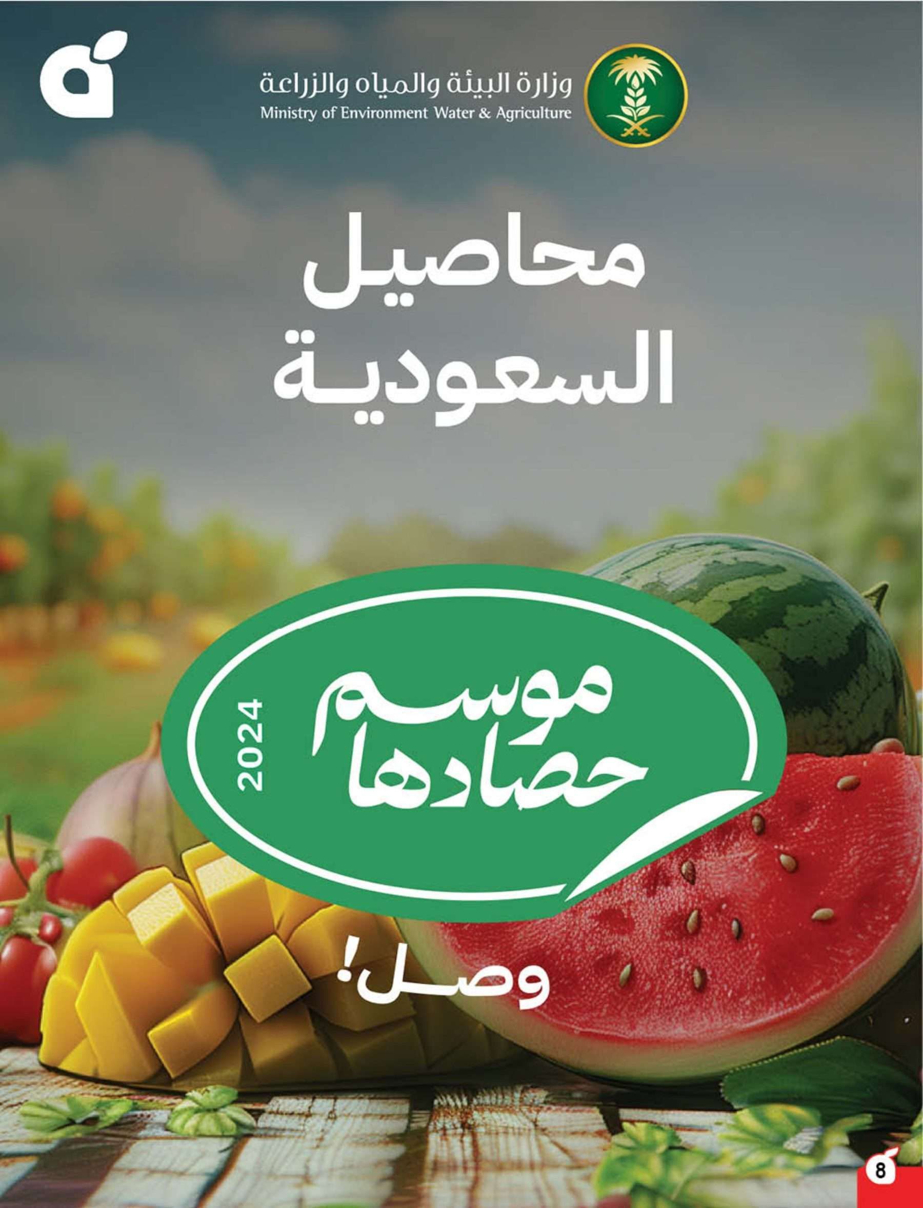 كتالوج عروض بنده الاسبوعية الاربعاء 7 مايو 2025 | وفر حتي نصف السعر 9 ilBWsS - كتالوج عروض بنده الاسبوعية الاربعاء 7 مايو 2025 | وفر حتي نصف السعر