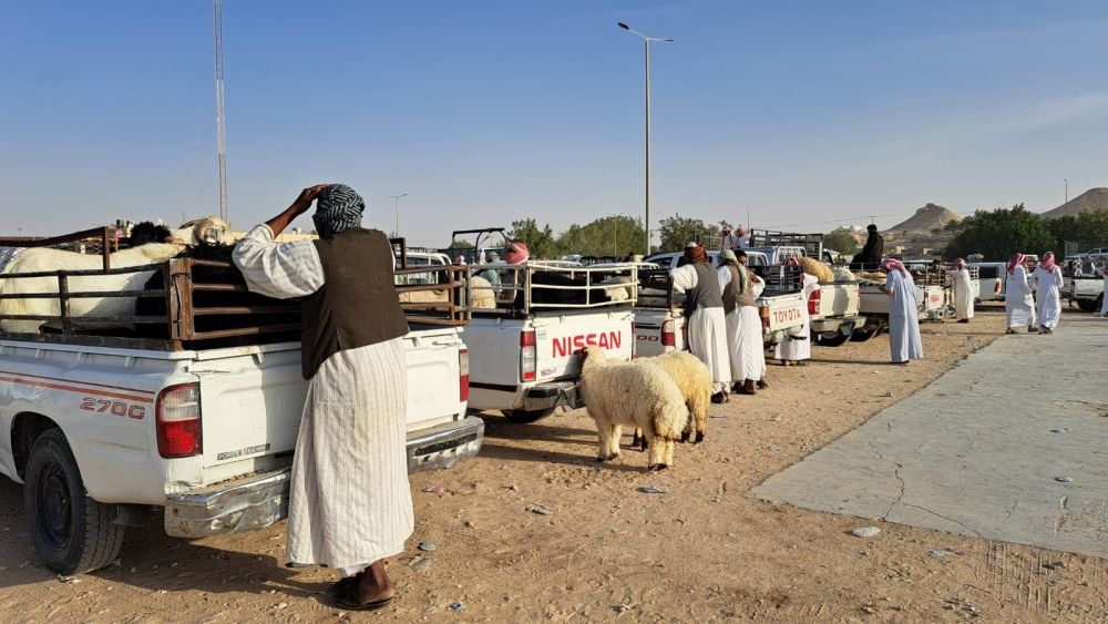 الموازين الرقمية والفواتير الإلكترونية تضبط بيع المواشي في أسواق النفع العام