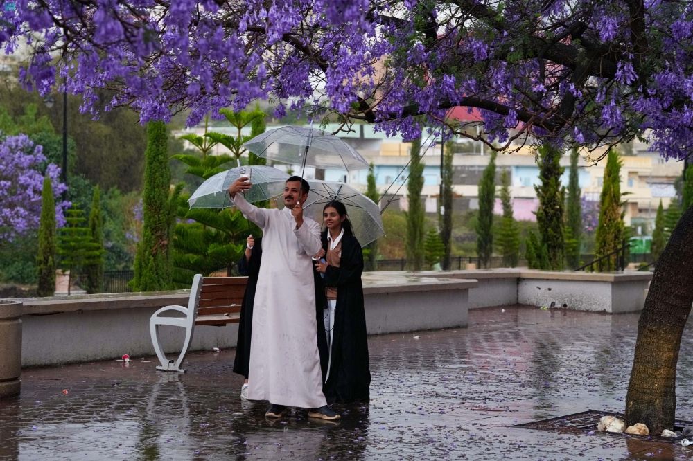 أبها تزهو جمالًا مع هطول الأمطار وتساقط أزهار