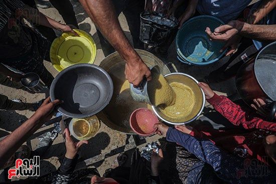 توزيع الطعام فى غزة توزيع الطعام فى غزة