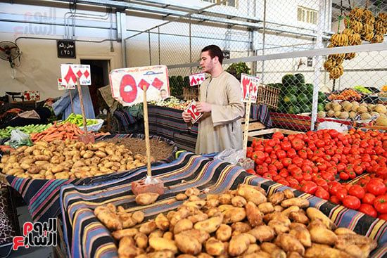 اسعار البطاطس اسعار البطاطس