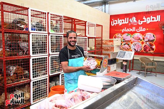 الدواجن (2) الدواجن (2)