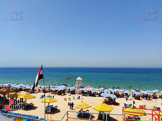 الاسكندرية-فى-الموجه-الحاره الاسكندرية-فى-الموجه-الحاره