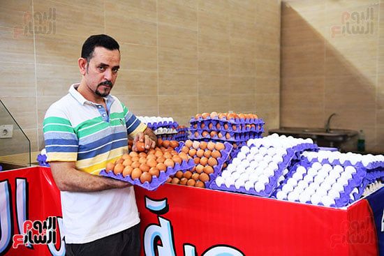 بيض المائدة بيض المائدة