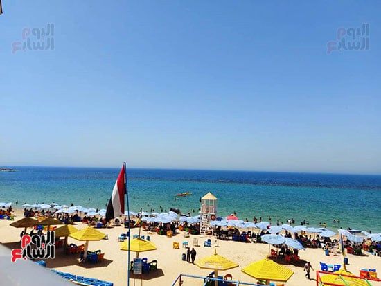 تراجع-حركة-الرياح تراجع-حركة-الرياح
