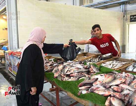 شراء السمك شراء السمك
