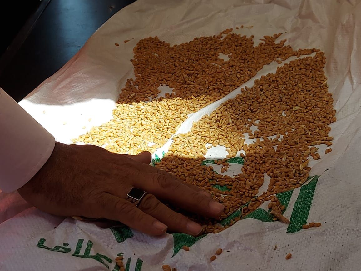 فحص العينة قبل التوريد فحص العينة قبل التوريد