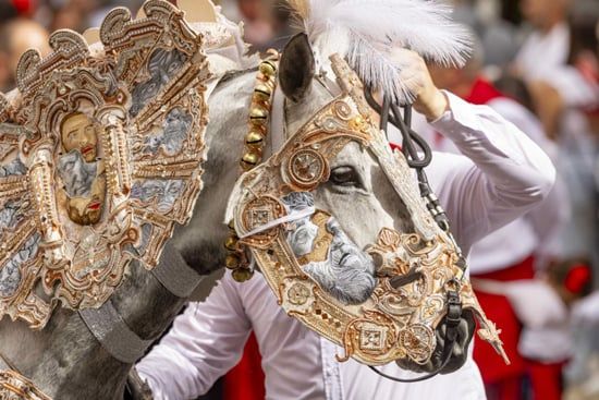 مهرجان خيول النبيذ في مورسيا (1) مهرجان خيول النبيذ في مورسيا (1)