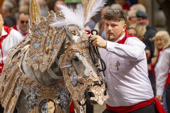 مهرجان خيول النبيذ في مورسيا (4) مهرجان خيول النبيذ في مورسيا (4)