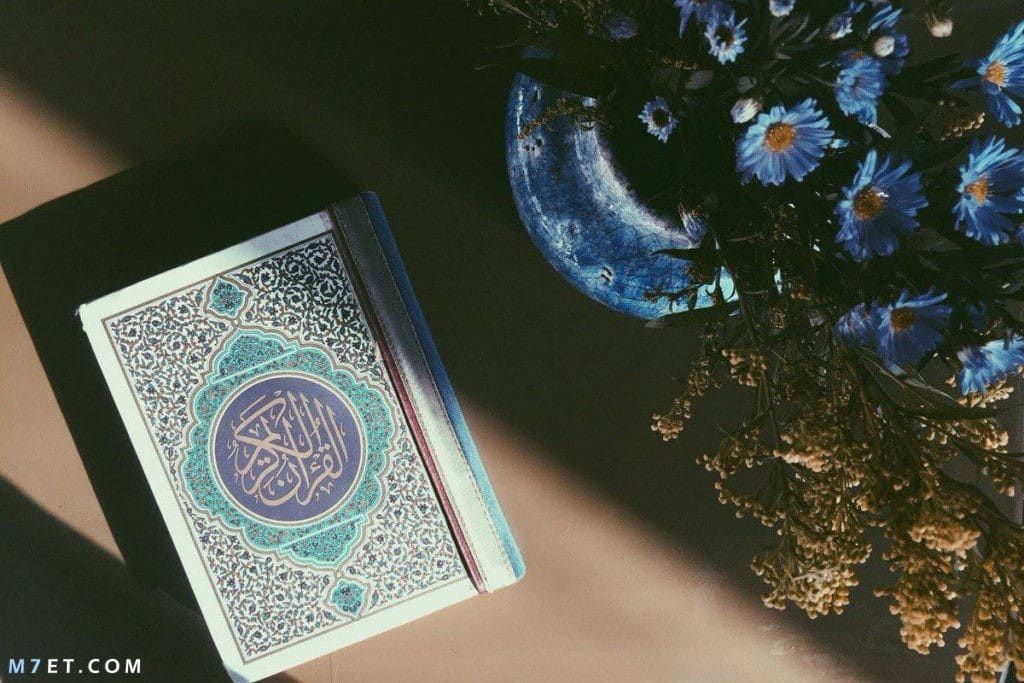 آيات عن النجاح