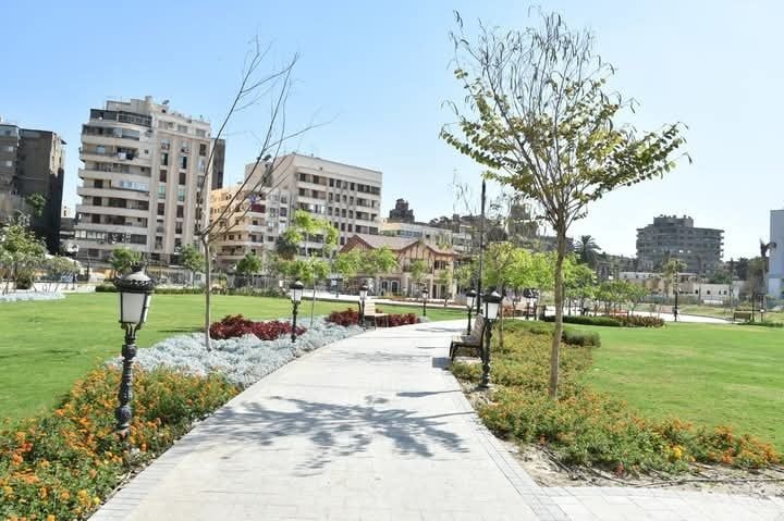 تشجير الحديقة تشجير الحديقة