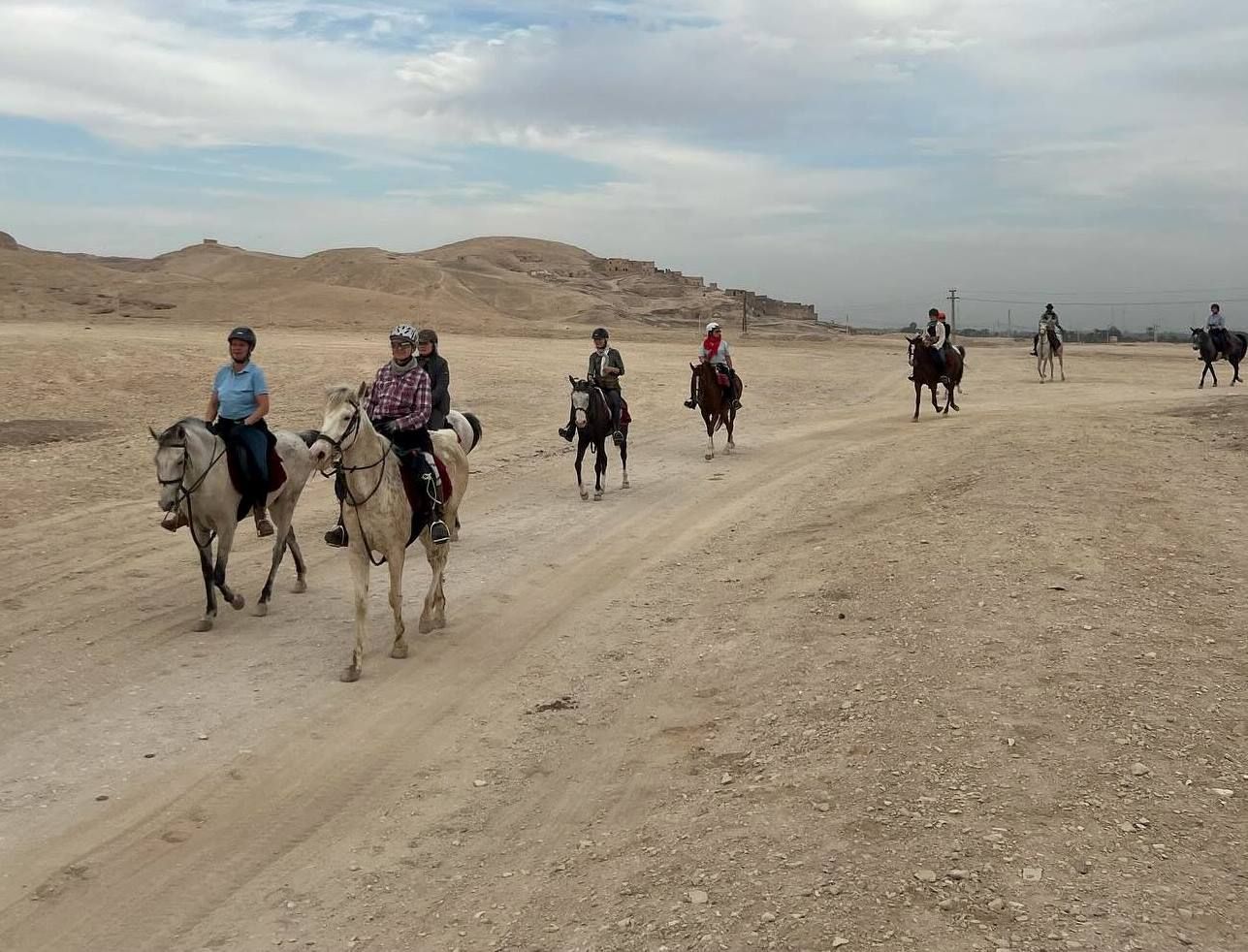 صورة اليوم.. سفارى الخيول فى جبال الأقصر صورة اليوم.. سفارى الخيول فى جبال الأقصر