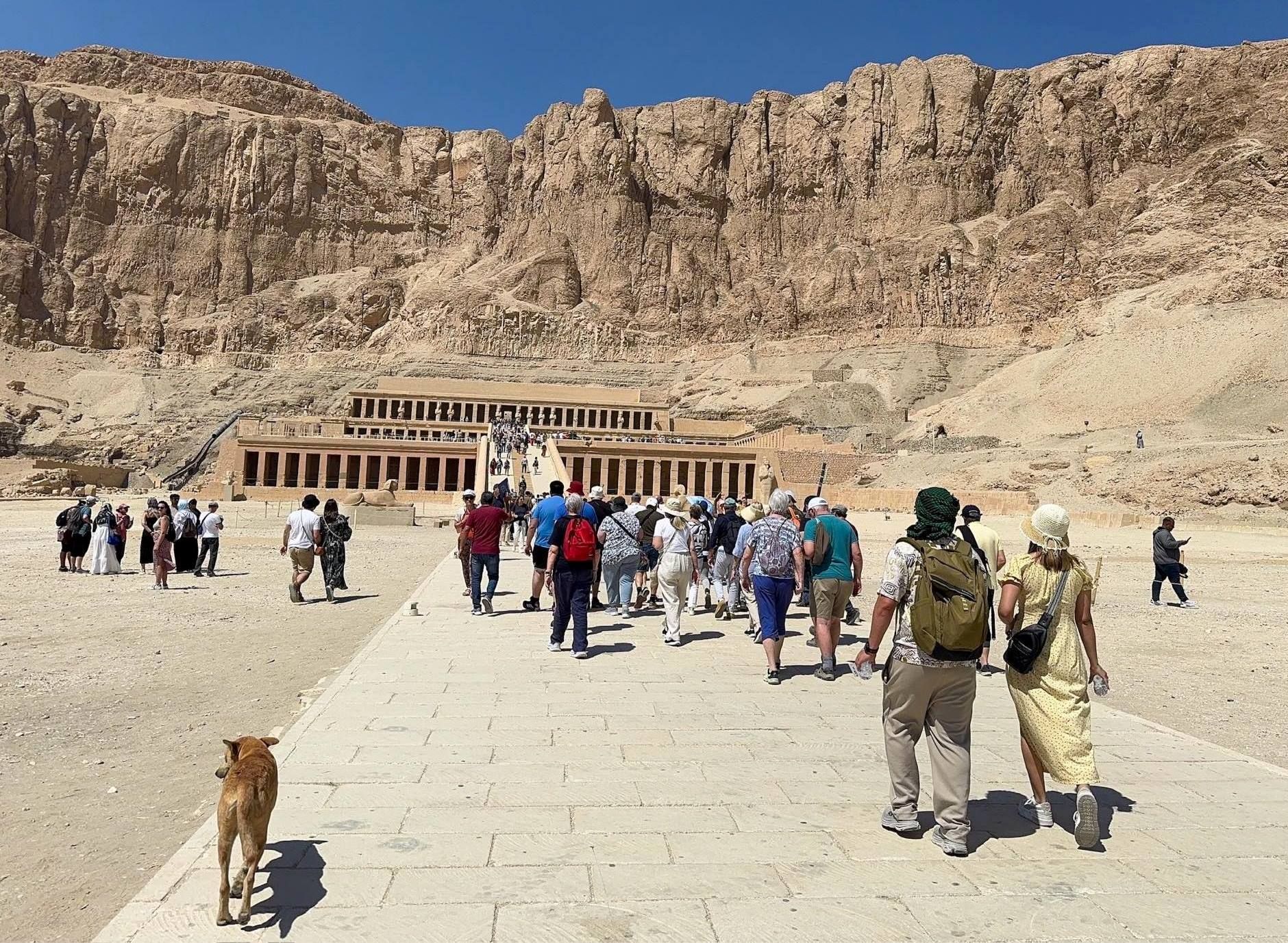 جانب من الزيارات لسياح العالم على المعابد جانب من الزيارات لسياح العالم على المعابد