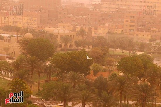 نشاط الرياح المثيرة للرمال والأتربة نشاط الرياح المثيرة للرمال والأتربة