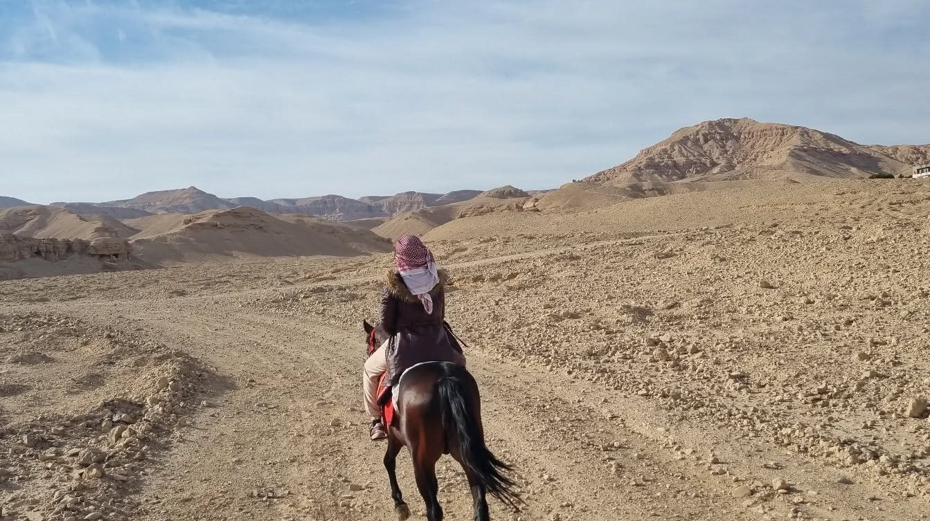 استمتاع احدي الأجانب على ظهر الخيول بين جبال القرنة استمتاع احدي الأجانب على ظهر الخيول بين جبال القرنة