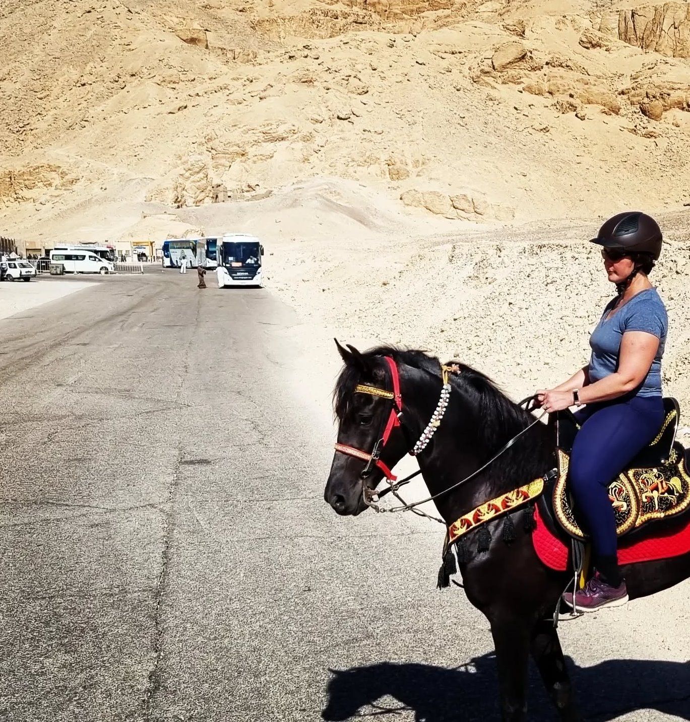 سفاري الخيول غرب الأقصر بمدخل وادى الملوك والملكات سفاري الخيول غرب الأقصر بمدخل وادى الملوك والملكات