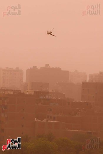 العاصفة الترابية المفاجئة العاصفة الترابية المفاجئة