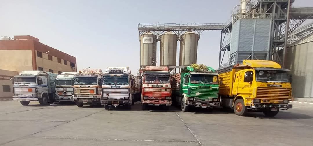 جانب من اعمال توريد القمح بالوادى الجديد جانب من اعمال توريد القمح بالوادى الجديد