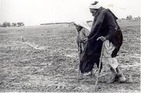 عجوزان خارج الوطن عجوزان خارج الوطن