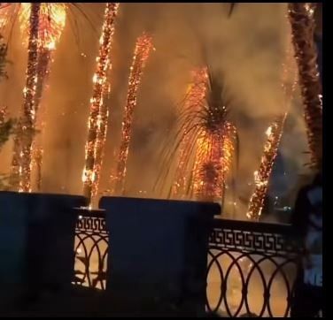 حريق الاشجار حريق الاشجار