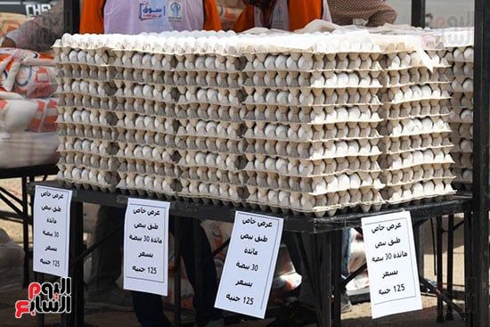 عروض على أطباق البيض
