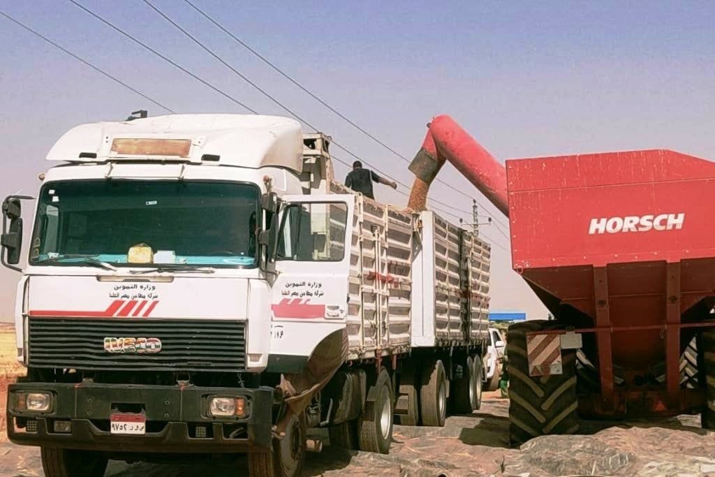 توريد محصول القمح باسوان توريد محصول القمح باسوان
