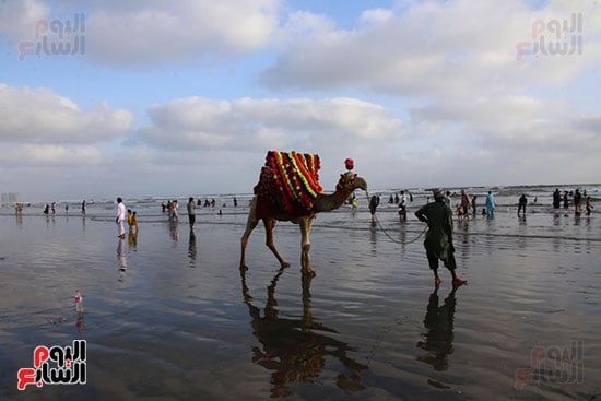 الجمال للاستمتاع الفسح على بحرب العرب الجمال للاستمتاع الفسح على بحرب العرب