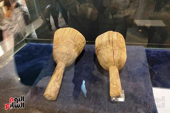 قط محنط داخل متحف التحنيط بالأقصر قط محنط داخل متحف التحنيط بالأقصر