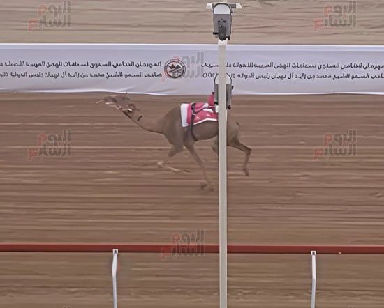 الفوز-بالمركز-الاول-وجائزة-السيف-الفضي الفوز-بالمركز-الاول-وجائزة-السيف-الفضي
