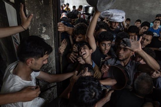 المجاعة فى غزة (4) المجاعة فى غزة (4)